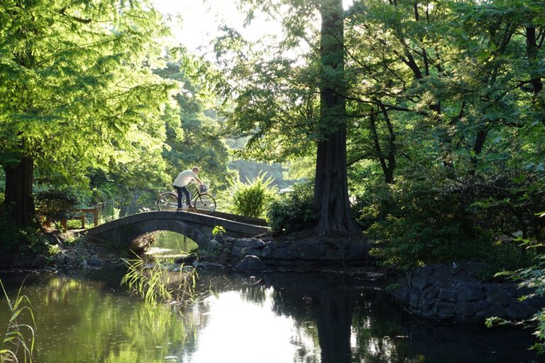 Foresta e ponte del parco di Inokashira, nella città di Mitaka